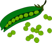 https://www.pinclipart.com/picdir/big/317-3174076_pea-fruit-clip-art-png-download.png