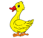 https://easydrawingguides.com/wp-content/uploads/2017/04/How-to-draw-a-duck-20.png